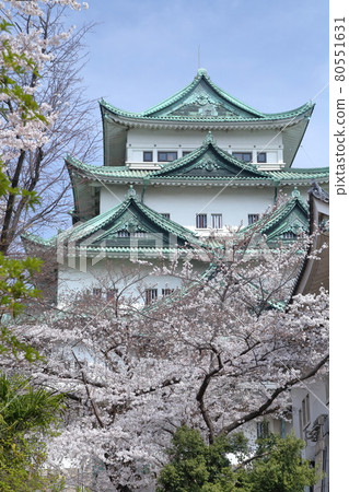 Nagoya Castle and Honmaru Palace without Kindai (Nagoya City, Aichi Prefecture, 2021) Nagoya Castle and Honmaru Palace without Kindai (Nagoya City, Aichi Prefecture, 2021) 80551631