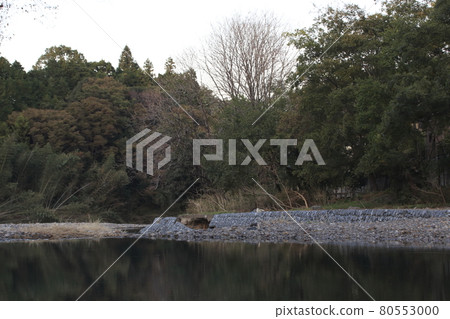 在金竹田:2019 年 11 月 在金竹田:2019 年 11 月 80553000