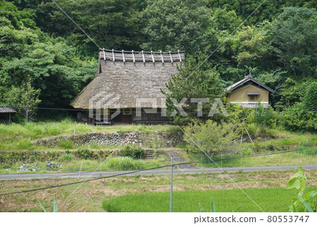 日本茅草屋夏日風景 80553747
