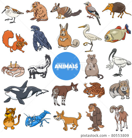 cartoon wild animal species characters big set - Stock Illustration  [80553809] - PIXTA