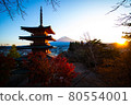 Mt. Fuji and the five-storied pagoda in the evening 80554001