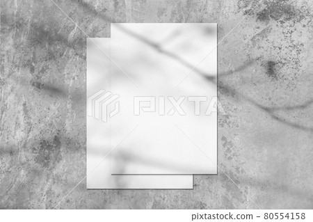Two empty white rectangle poster mockups with tree shadow 80554158