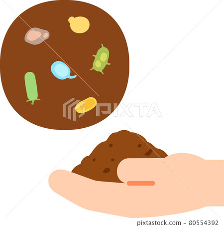 Image of hand scooped soil and bacteria 80554392