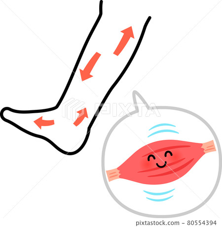 Image of calf muscle and blood circulation promotion Image of calf muscle and blood circulation promotion 80554394