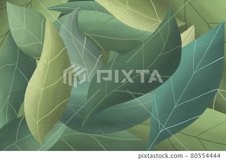 Illustration of green leaves with the start of spring Illustration of green leaves with the start of spring 80554444