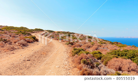 Dirt road to the shore of Mediterranean sea. Dirt road to the shore of Mediterranean sea. 80555019