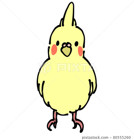 黃色玄鳳鸚鵡前面 80555260