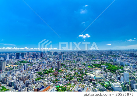 東京風景 2021 藍天、綠色和地平線品川向白金方向 80555975