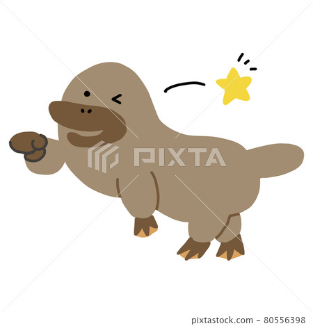 Australian animal winking platypus vector illustration 80556398