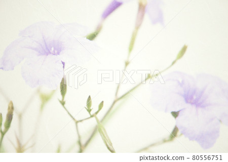Background material of blue flowers on Japanese paper, Willow Barirasou 80556751