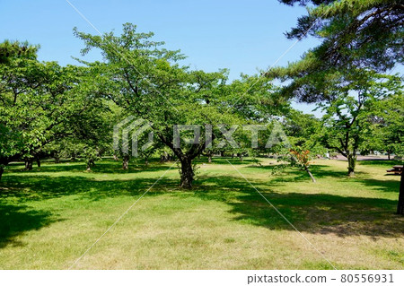 Morimachi Oniushi Park 80556931