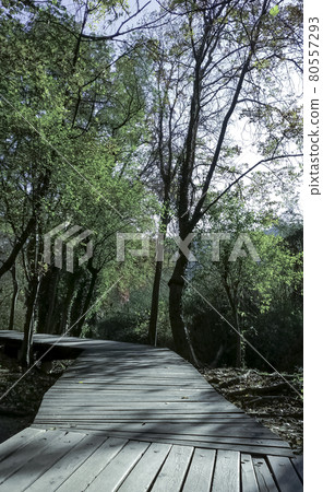 Krka National Park, Croatia 80557293