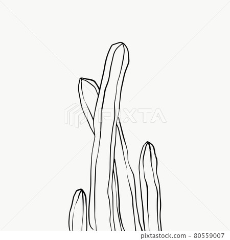 Leaves and tropical line foliage isolated on white background. vector design Leaves and tropical line foliage isolated on white background. vector design 80559007