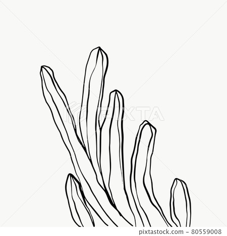 Leaves and tropical line foliage isolated on white background. vector design 80559008