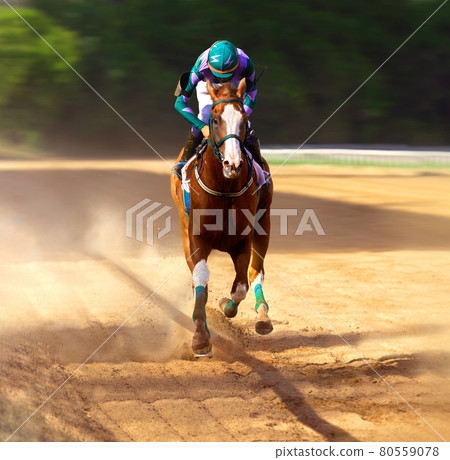 Jockey on racing horse. Sport. Champion. Hippodrome. Racetrack. Equestrian. Derby. Speed. Finish 80559078