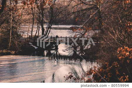 Beautiful Fall colors at Oak Bridge ,Bank Rock bay, Central Park, New York City. 80559994