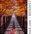 Hananuki Gorge: Autumn leaves and a boy in his hand 80560057