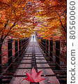 Hananuki Gorge Boy 1 autumn leaves 80560060