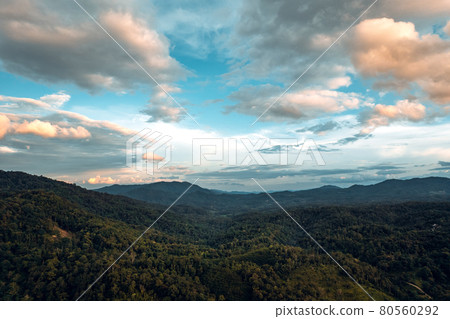 mountains and green forest in the evening mountains and green forest in the evening 80560292