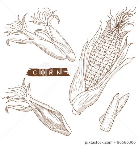 Corn set Corn set 80560300