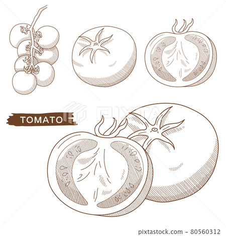 Tomato set 80560312
