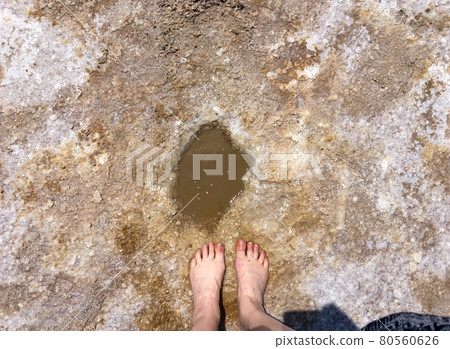 Turkey. Also can be used at creams, shamphoo, gels etc Turkey. Also can be used at creams, shamphoo, gels etc 80560626