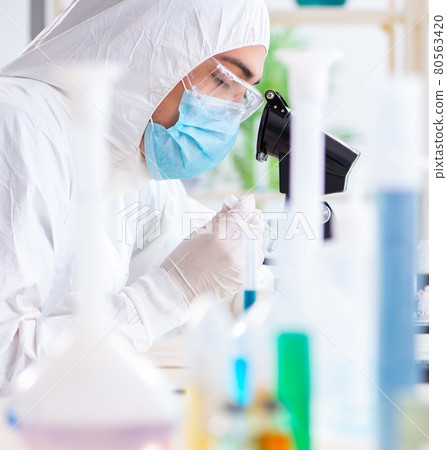 Young chemist student working in lab on chemicals Young chemist student working in lab on chemicals 80563420