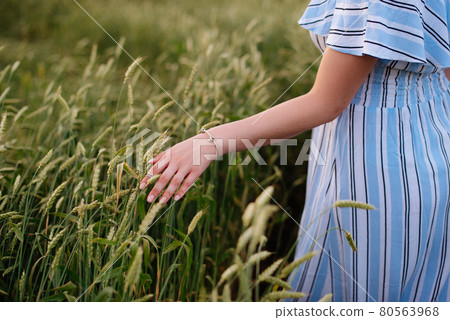 Beautiful young woman in summer in a wheat field Beautiful young woman in summer in a wheat field 80563968