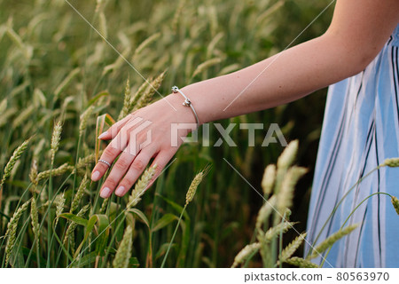 Beautiful young woman in summer in a wheat field Beautiful young woman in summer in a wheat field 80563970