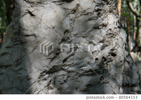 white mineral in nature. stone with irregularity and hole in natural conditions. albit. marble 80564153