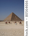 吉薩的三大金字塔和駱駝 80564666