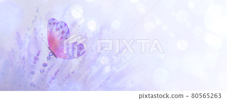 Meadow lavender horizontal background with colorful butterfly. 80565263