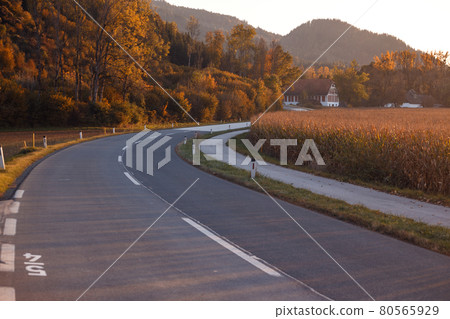 beautiful road in the sunlight beautiful road in the sunlight 80565929