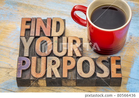 FInd your purpose in wood type 80566436