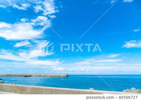 Image of the sea and summer sky [Niigata Prefecture] 80566727