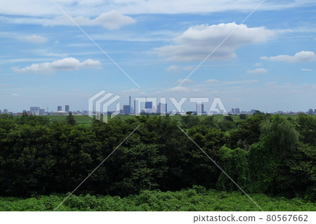 Scenery of Saitama, Japan Scenery of Saitama, Japan 80567662