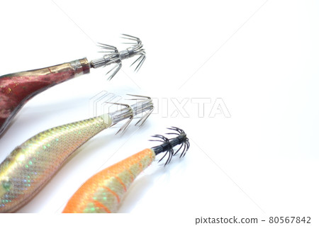 用人工餌釣魷魚的圖片 用人工餌釣魷魚的圖片 80567842
