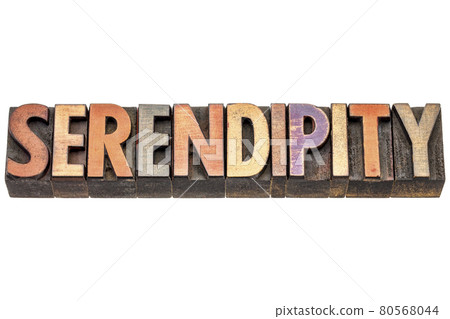 serendipity word in wood type serendipity word in wood type 80568044