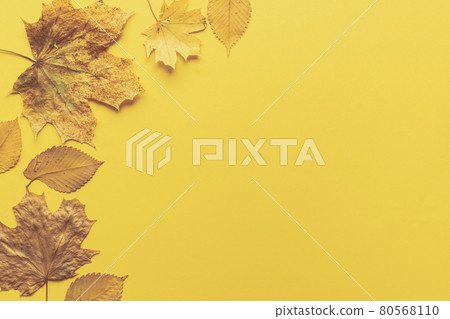 Colorful leaves frame on yellow background with copy space. Halloween or thanksgiving concept. 80568110