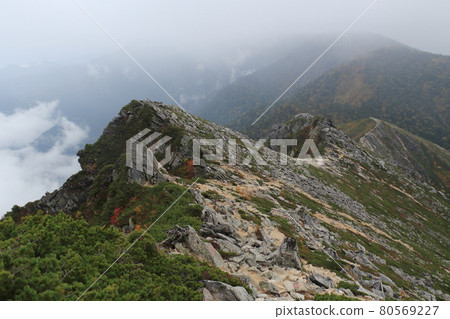 景觀 / 攀登 / 中年山到長嶽山 80569227