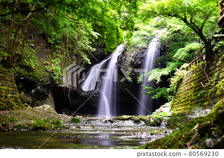 月亮的瀑布等待 80569230