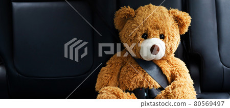 Brown teddy bear wearing car seat belt 80569497