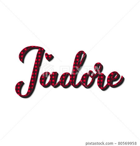 J adore calligraphy hand lettering. I adore inscription in French. Red buffalo plaid pattern. Vector template for Valentines day oster, greeting card, banner, postcard, t-shirt, flyer, sticker, etc 80569958