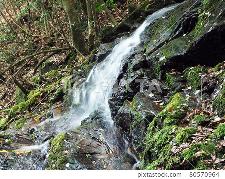 Nagato City, Mt. Hanao Namera Waterfall Nagato City, Mt. Hanao Namera Waterfall 80570964
