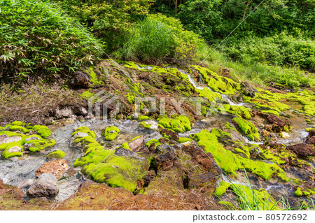 (群馬縣) Chatsubomi Moss Park Hole Hell (群馬縣) Chatsubomi Moss Park Hole Hell 80572692