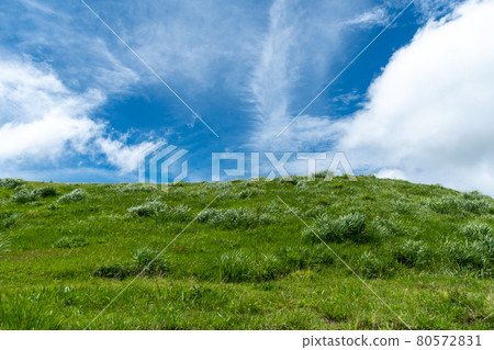 一片美麗的藍天，蔓延到綠色的奧卡之外 80572831