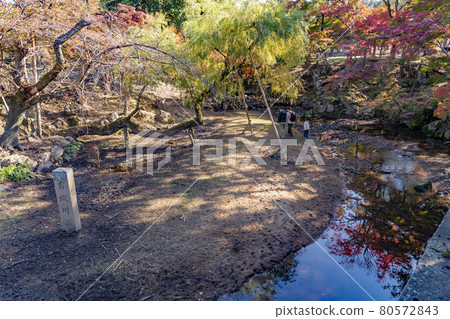 Yoshishiro River and autumn leaves flowing in Nara Park, Nara City, Nara Prefecture 80572843