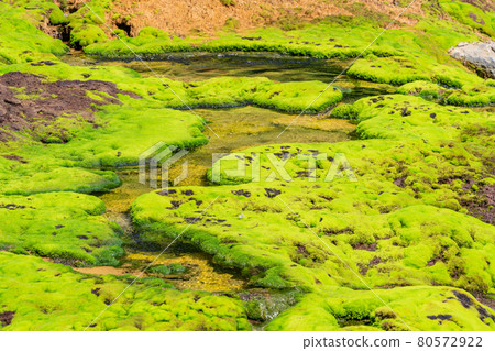 (Gunma Prefecture) Chatsubomi Moss Park Hole Hell Izumi (Gunma Prefecture) Chatsubomi Moss Park Hole Hell Izumi 80572922