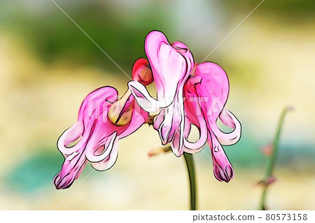 Pastel style "Dicentra" illustration image 80573158