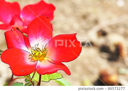 粉彩風格的“玫瑰花”插圖圖像 粉彩風格的“玫瑰花”插圖圖像 80573277